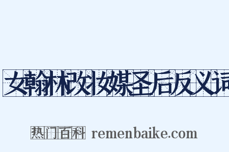 女翰林改妆媒圣后反义词是什么意思的图片